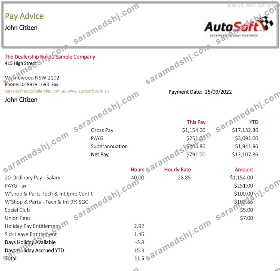Australia NSW AutoSoft payslip